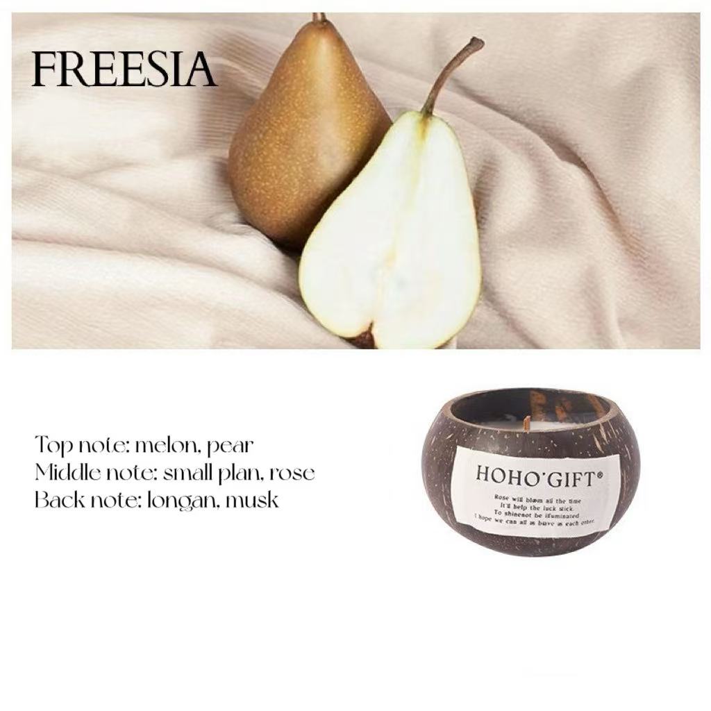 Coconut Shell Incense Candle - LunaVista